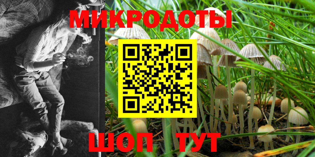 Псилоцибиновые грибы прущие грибы Конаково